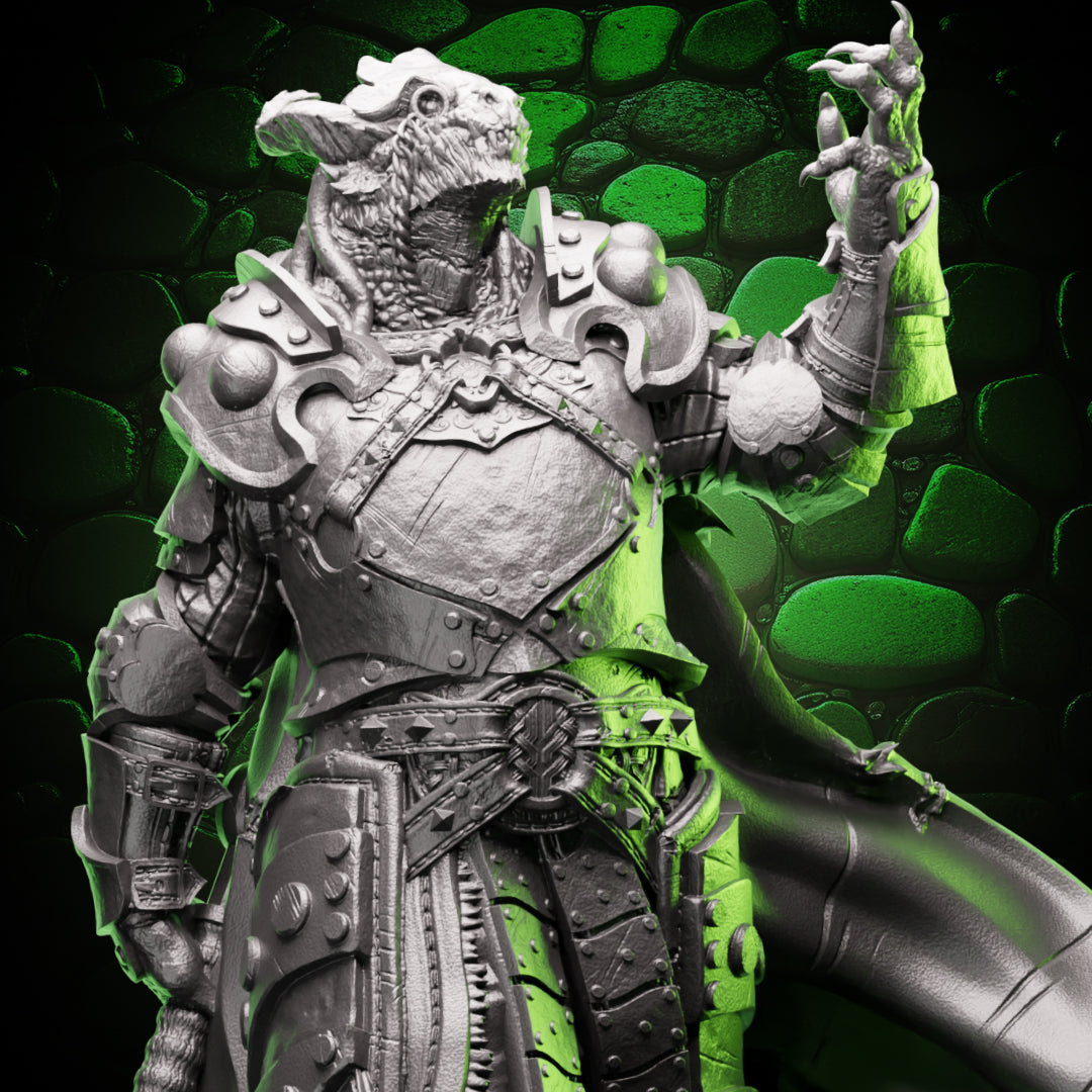 Dragonborn Paladin | Warhammer | 5e