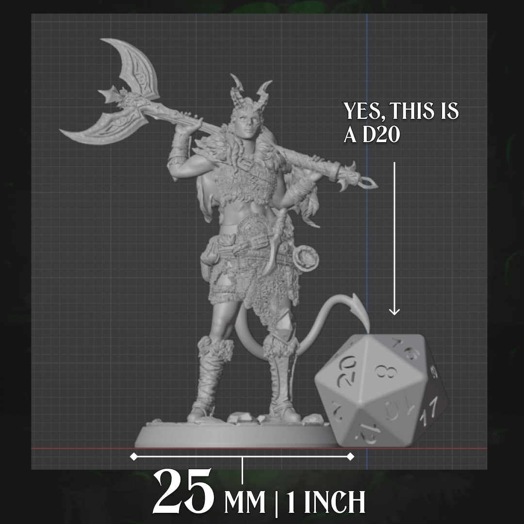 Tiefling Barbarian | Axe | 5e