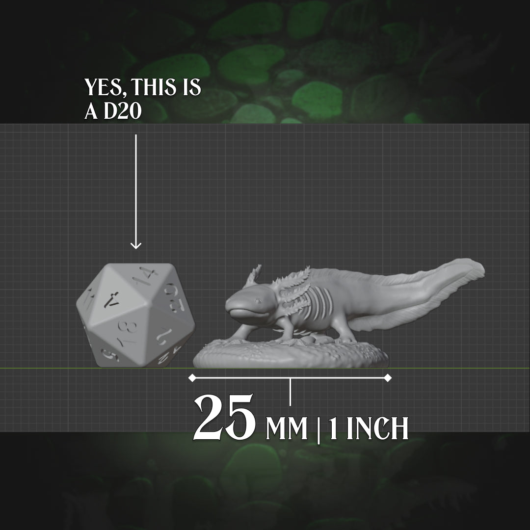 Axolotl Familiar miniature shown beside a scale marker D20 for tabletop sizing comparison. The text reads 25mm and 1 inch