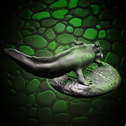 Axolotl Familiar, rear view