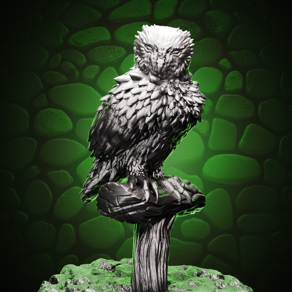 Barred Owl Cover