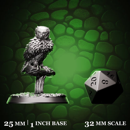Barred Owl d20