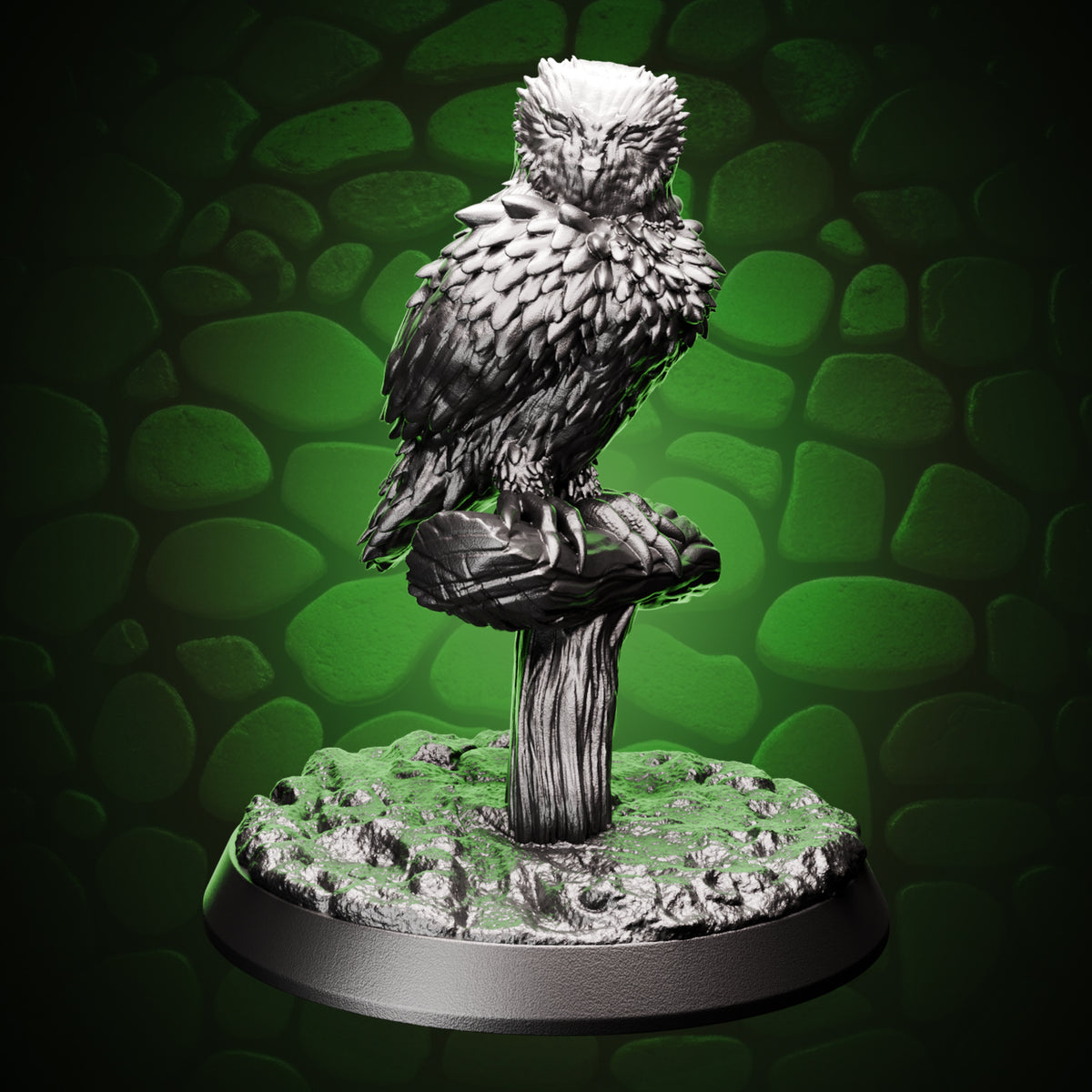 Barred Owl front