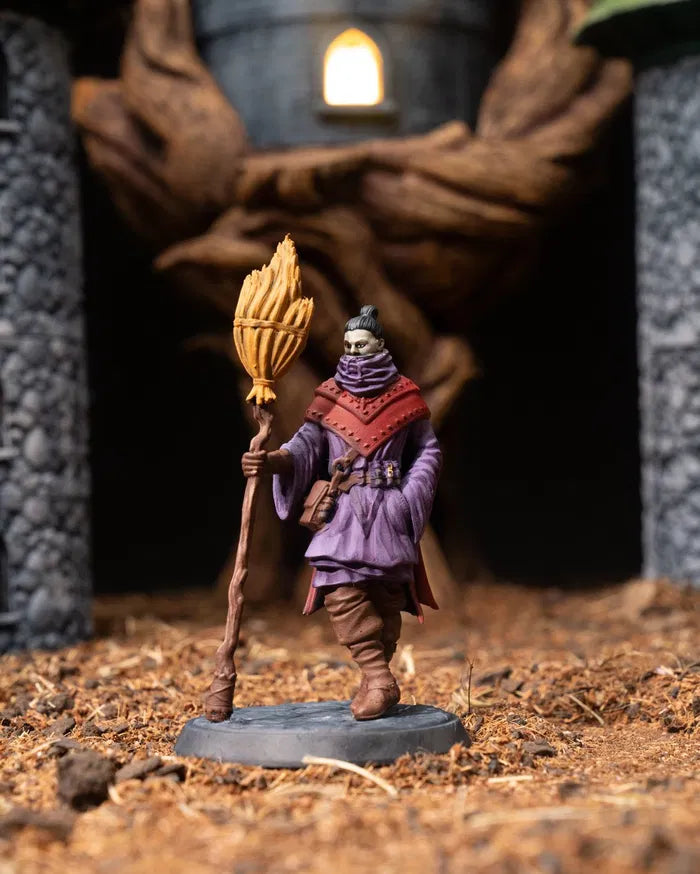 Human Sorcerer | Broom | 5e
