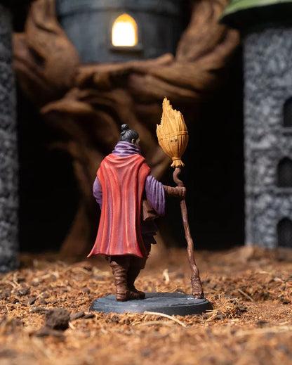 Human Sorcerer | Broom | 5e