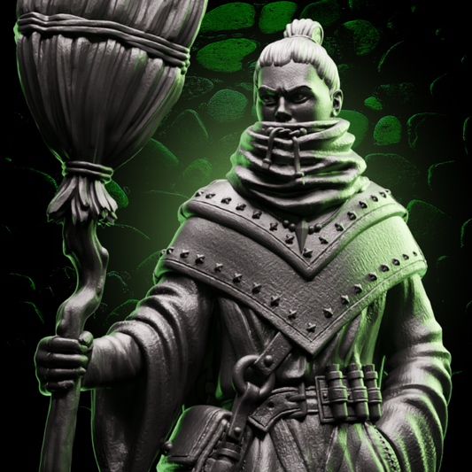 Human Sorcerer | Broom | 5e