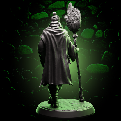Human Sorcerer - Broom
