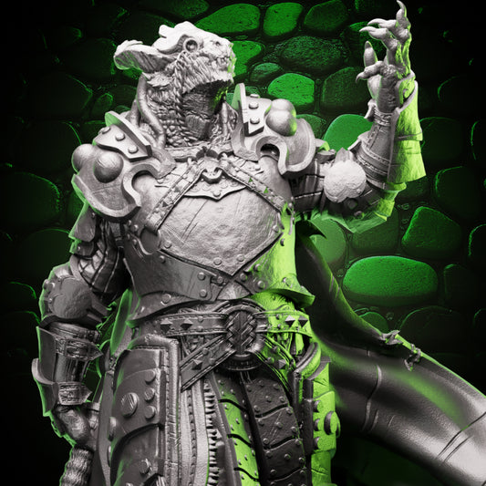 Dragonborn Paladin | Warhammer | 5e