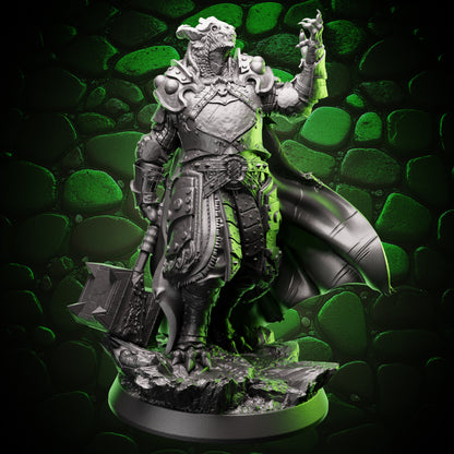 Dragonborn Paladin | Warhammer | 5e