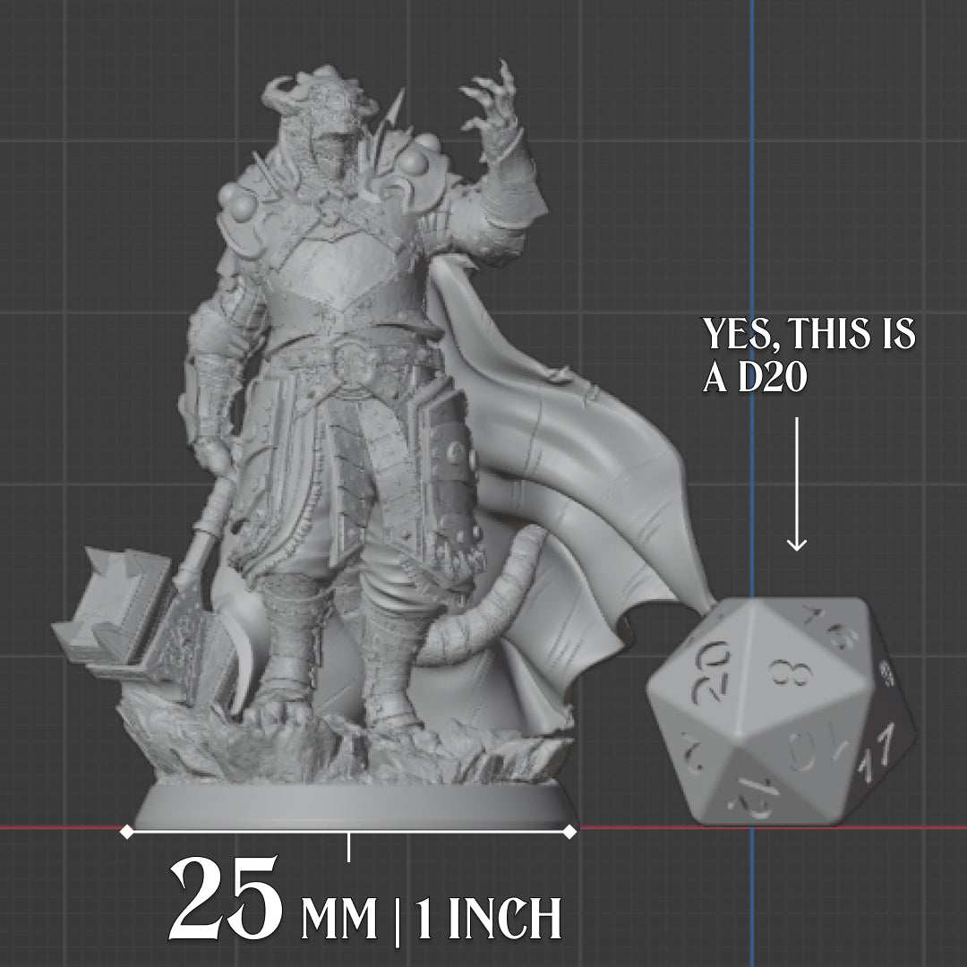 Dragonborn Paladin - Warhammer