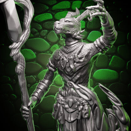 Dragonborn Wizard - Pyromancer