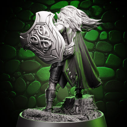 Drow Fighter - Sword & Shield