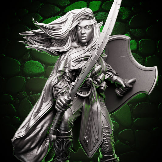 Drow Fighter - Sword & Shield
