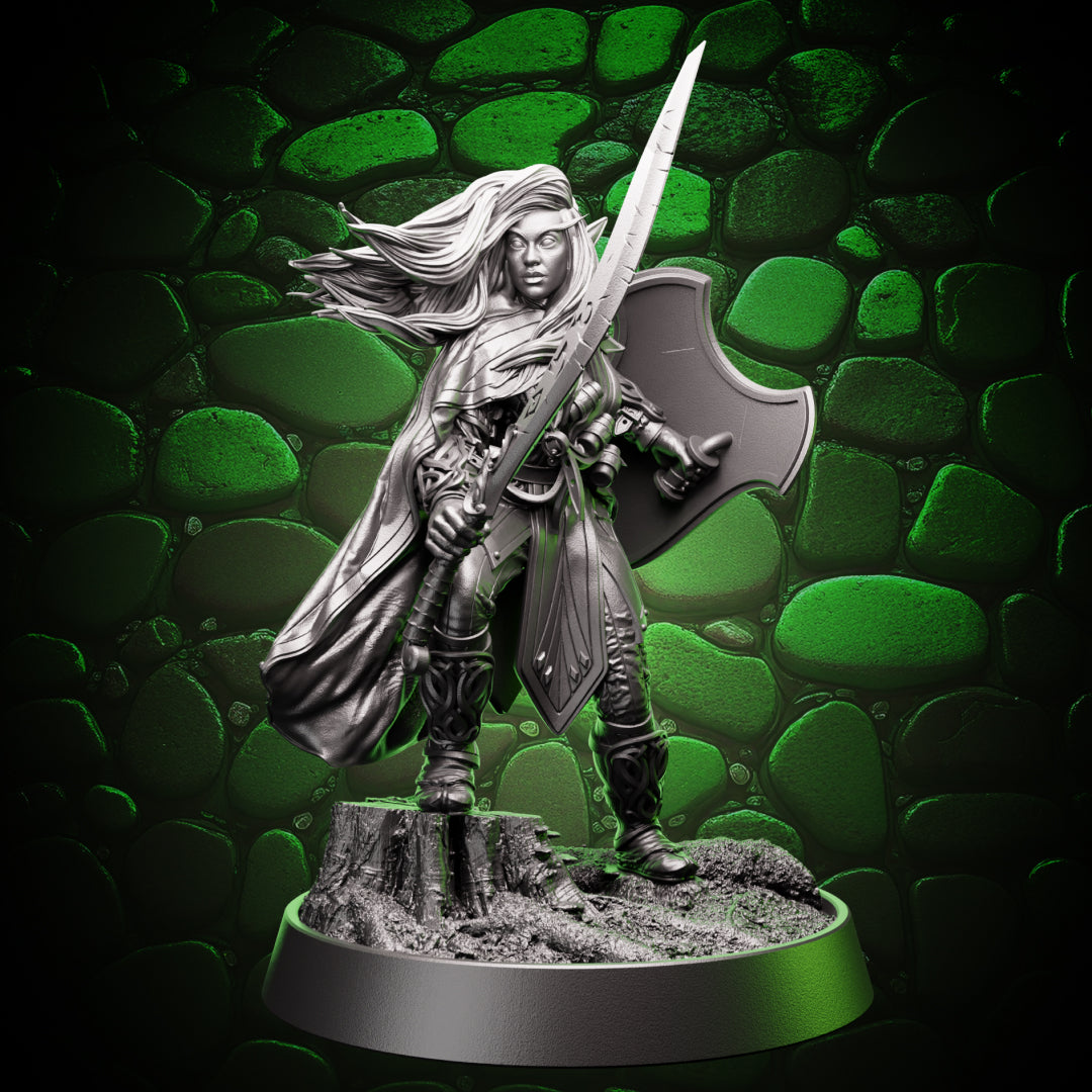 Drow Fighter - Sword & Shield