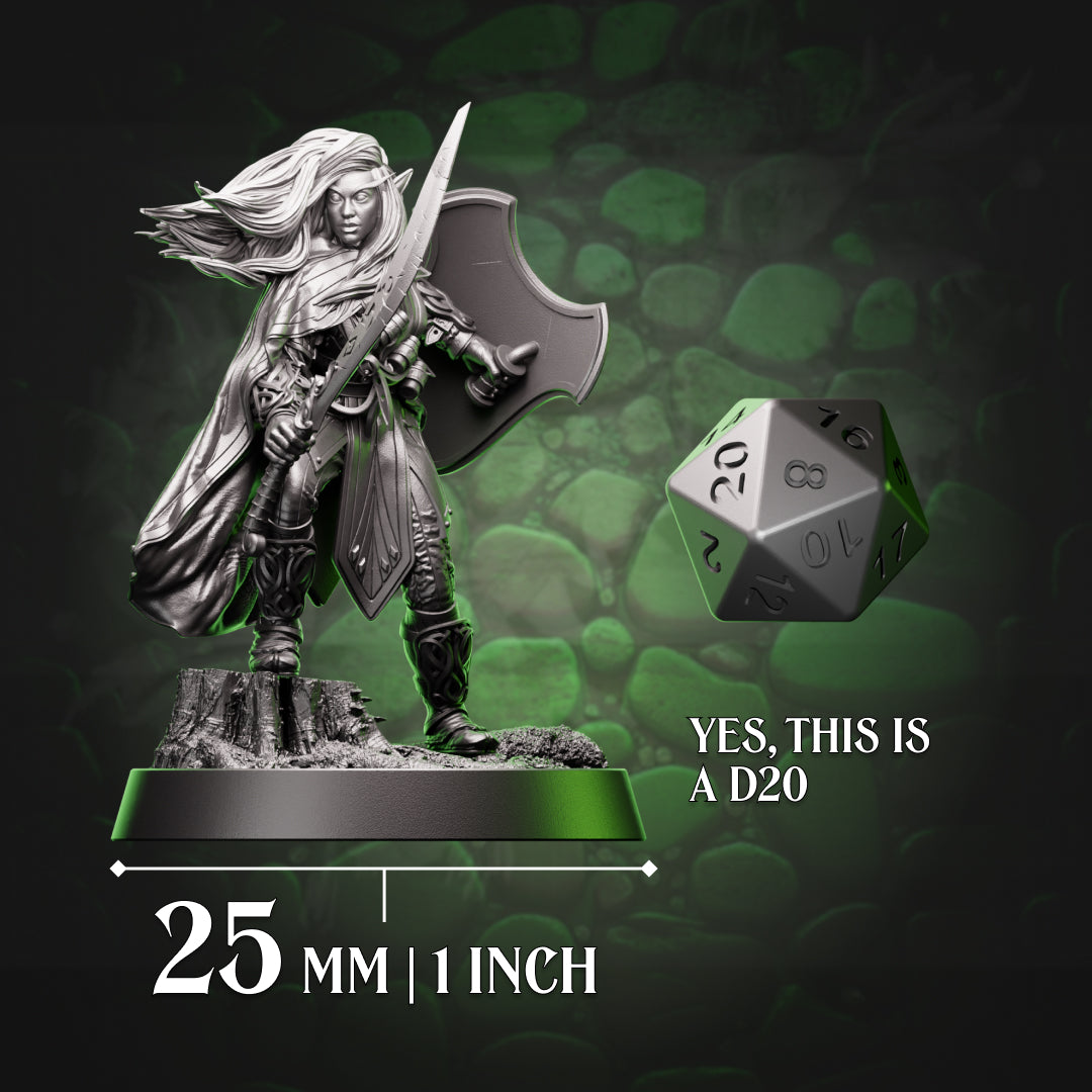 Drow Fighter - Sword & Shield