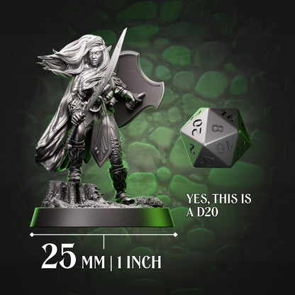 Drow Fighter - Sword & Shield