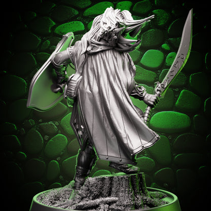 Drow Fighter - Sword & Shield