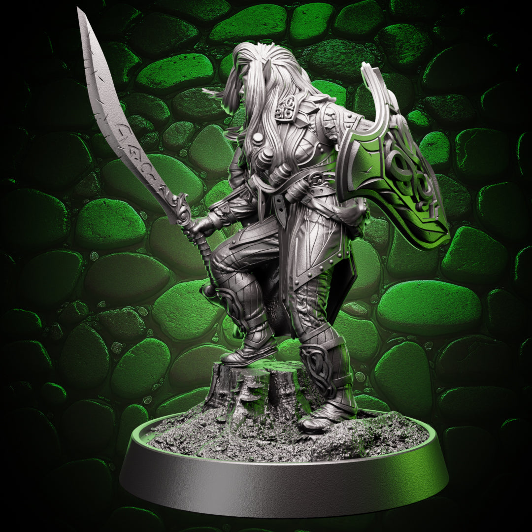 Drow Fighter - Sword & Shield