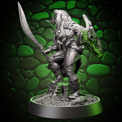 Drow Fighter - Sword & Shield