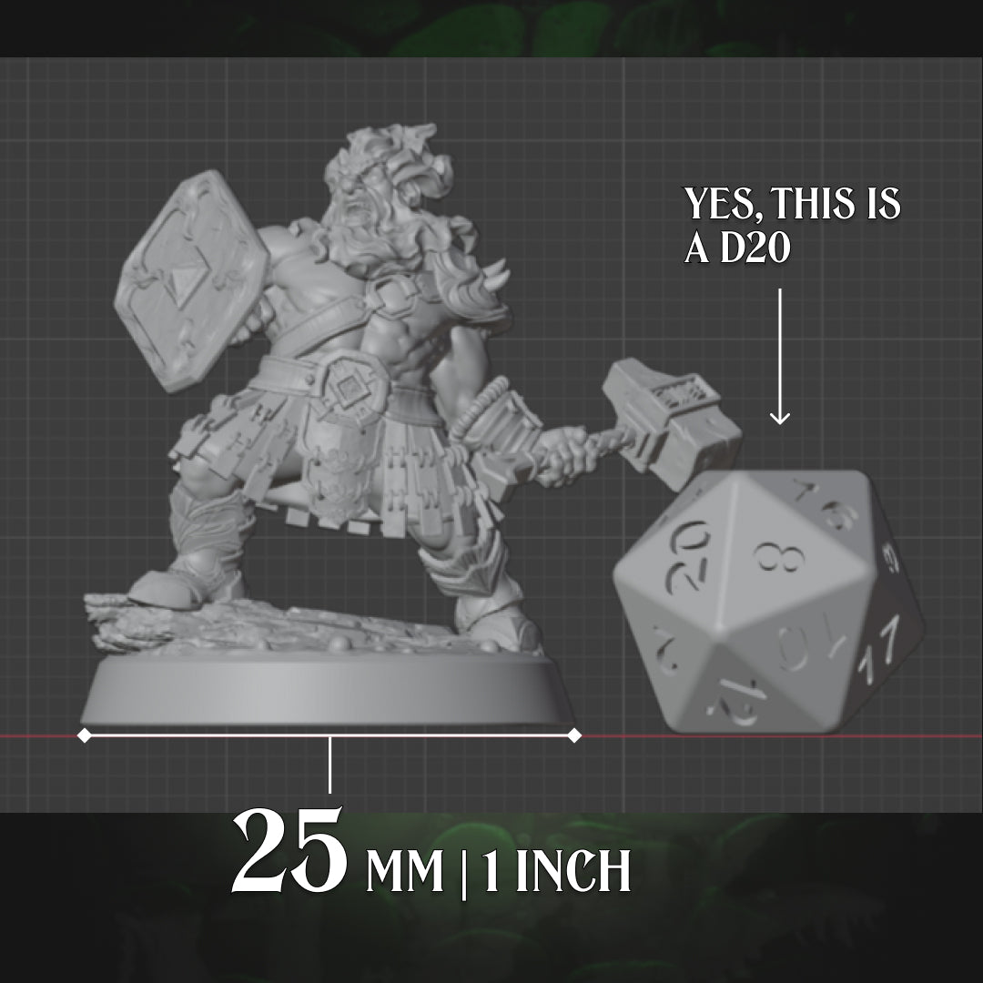 Dwarf Fighter | Hammer & Shield | 5e