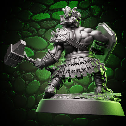 Dwarf Fighter - Hammer & Shield