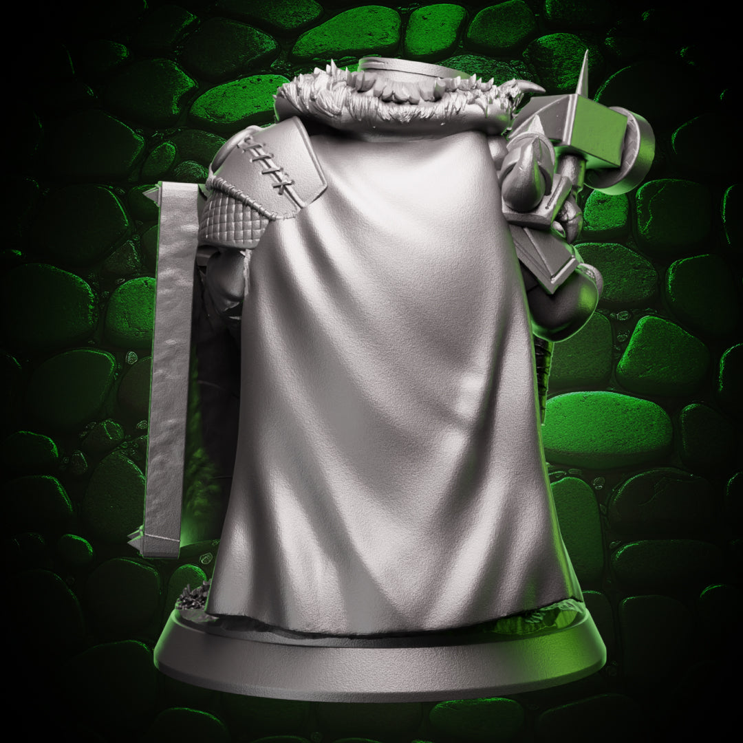Dwarf Paladin - Shield & Hammer