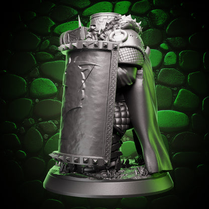 Dwarf Paladin - Shield & Hammer