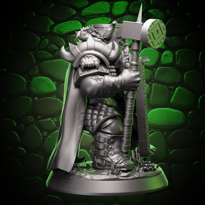 Dwarf Paladin - Shield & Hammer