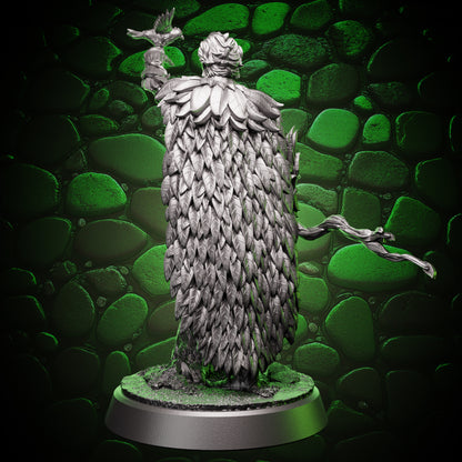 Elf Druid - Outlander