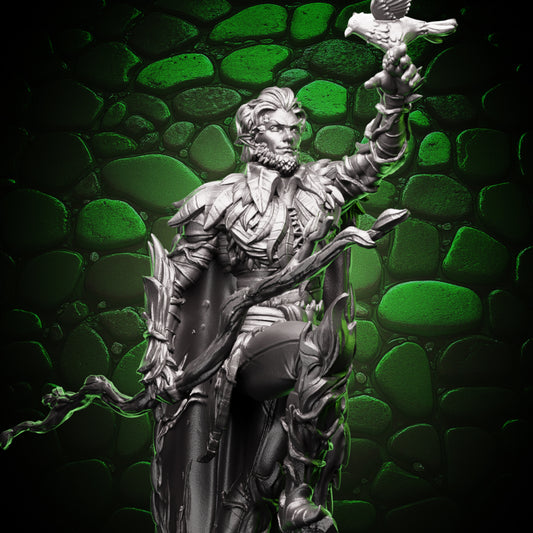 Elf Druid - Outlander