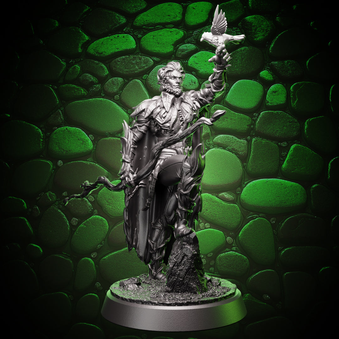 Elf Druid - Outlander