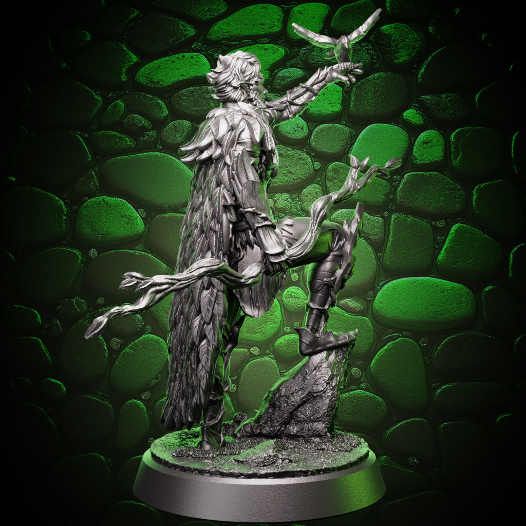 Elf Druid - Outlander