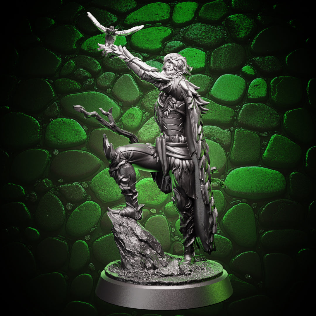Elf Druid - Outlander