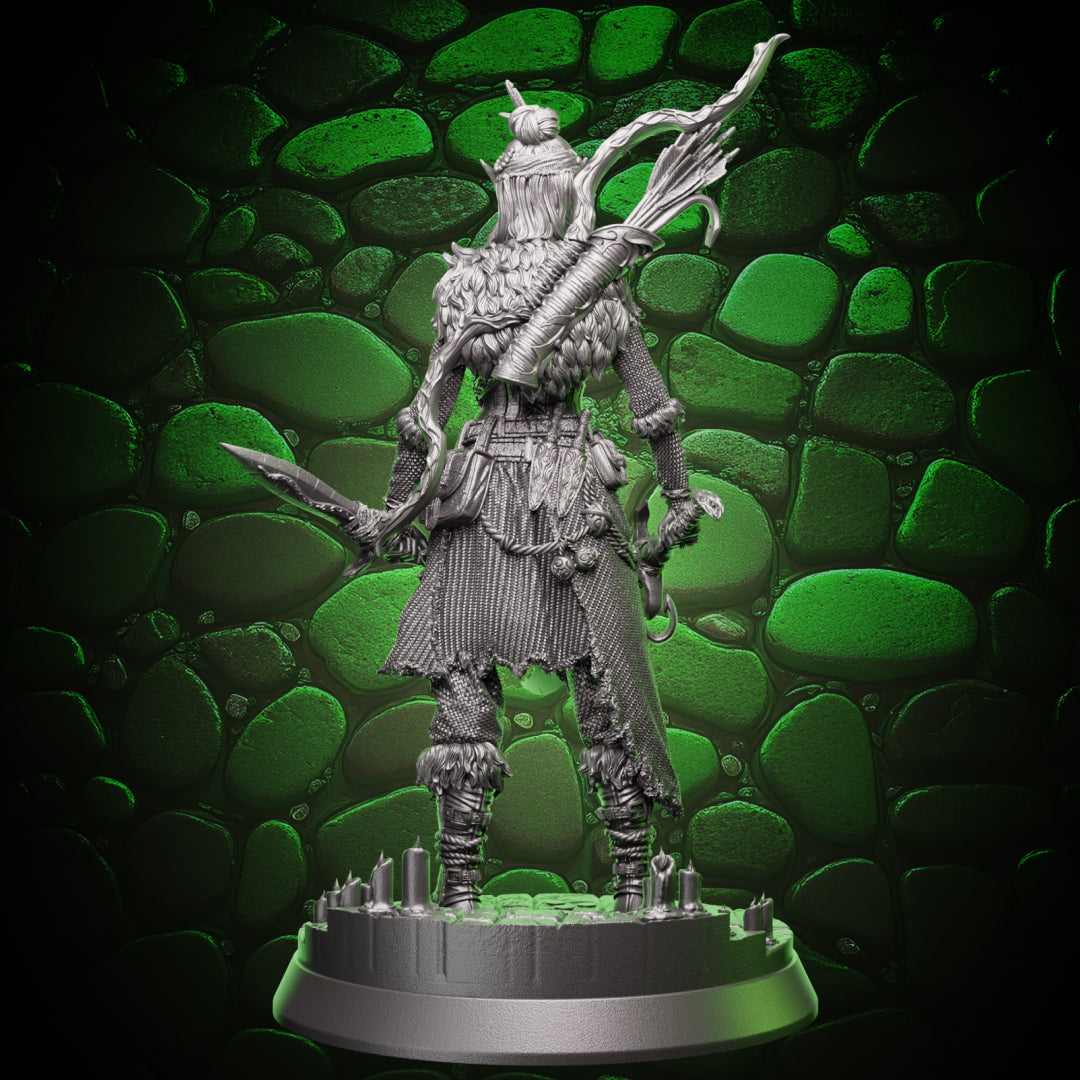 Elf Rogue - Swords and Bow