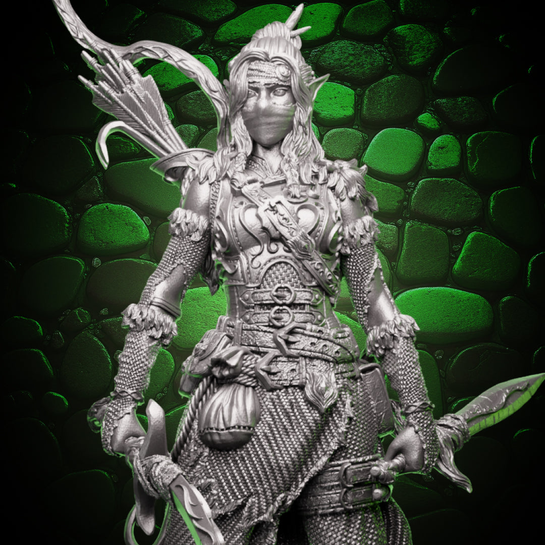Elf Rogue - Swords and Bow