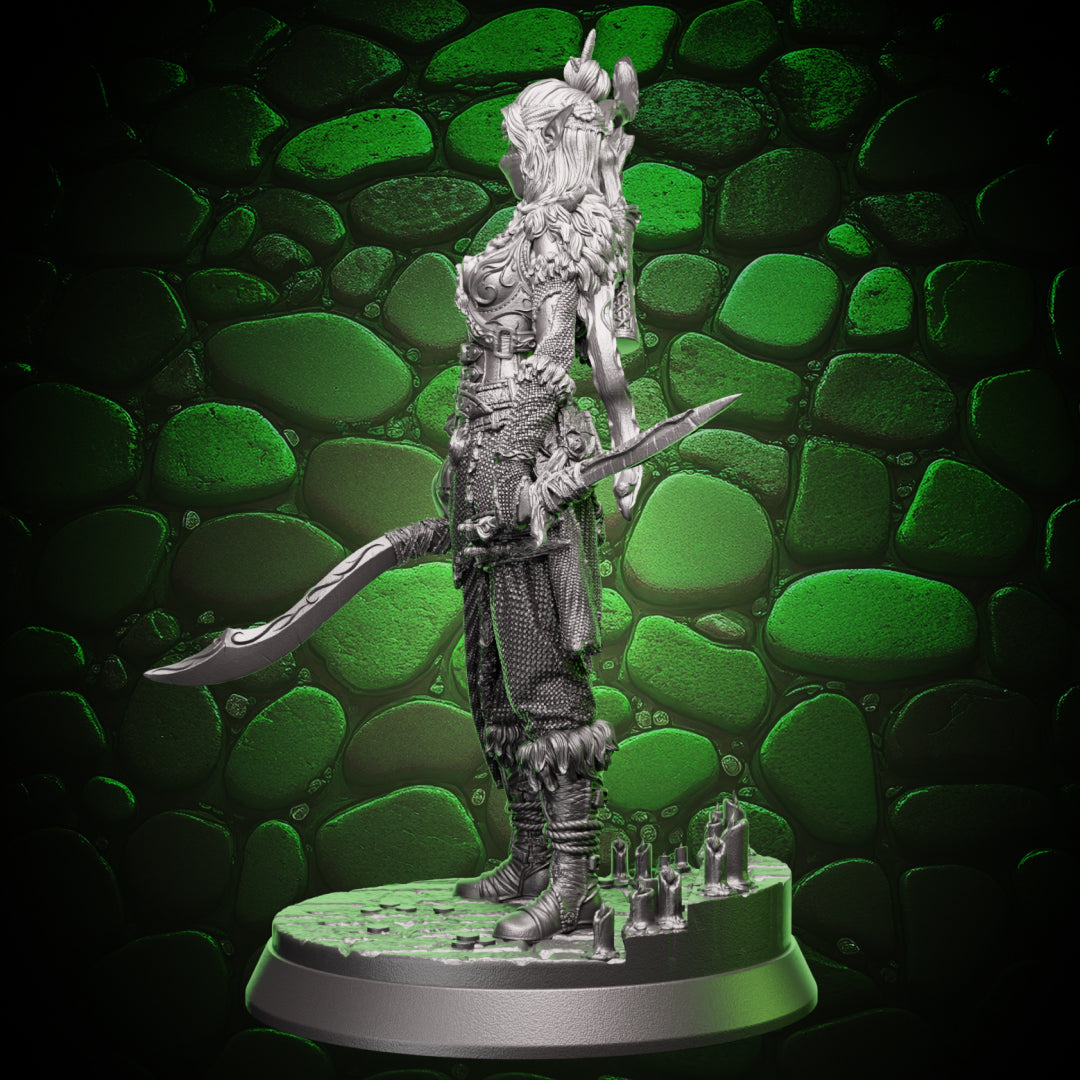 Elf Rogue - Swords and Bow