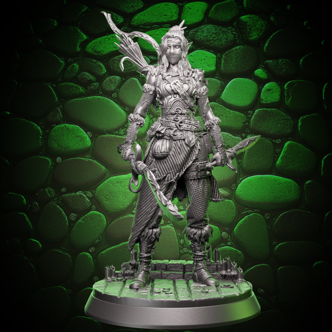 Elf Rogue - Swords and Bow