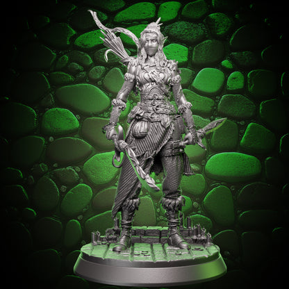 Elf Rogue - Swords and Bow