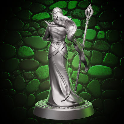 Elf Sorcerer - Staff