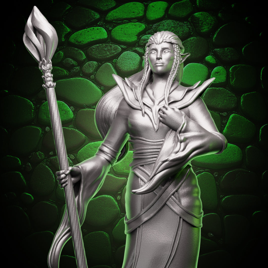 Elf Sorcerer - Staff