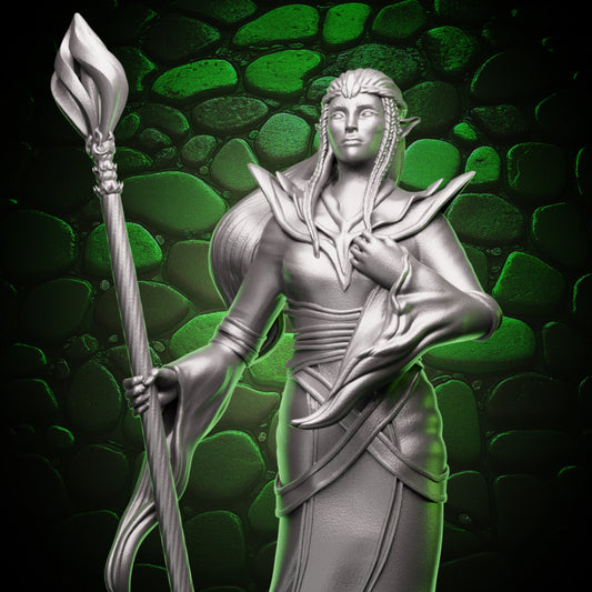 Elf Sorcerer - Staff