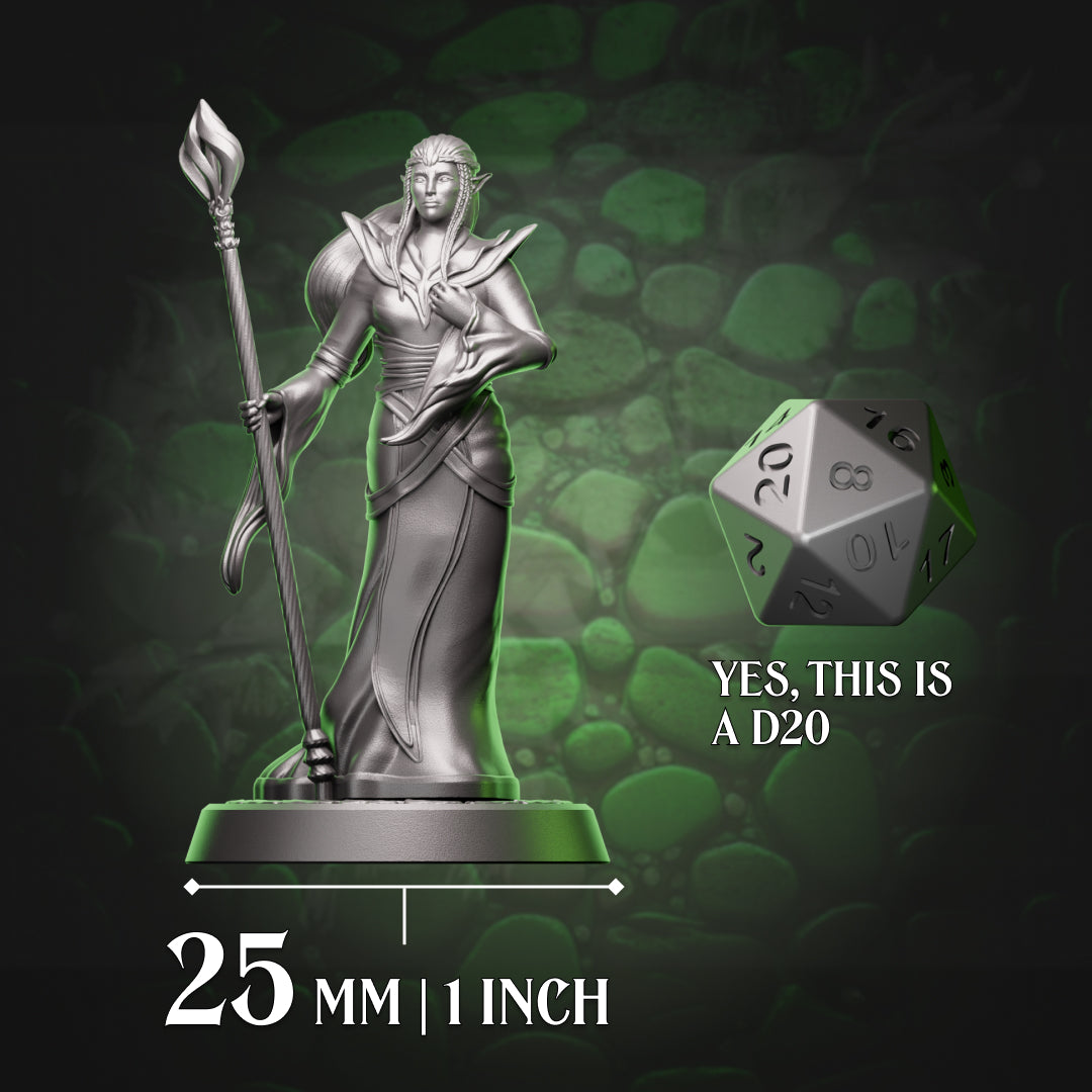 Elf Sorcerer - Staff