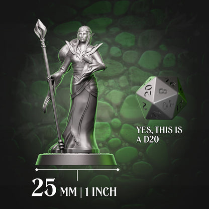 Elf Sorcerer - Staff, scale view