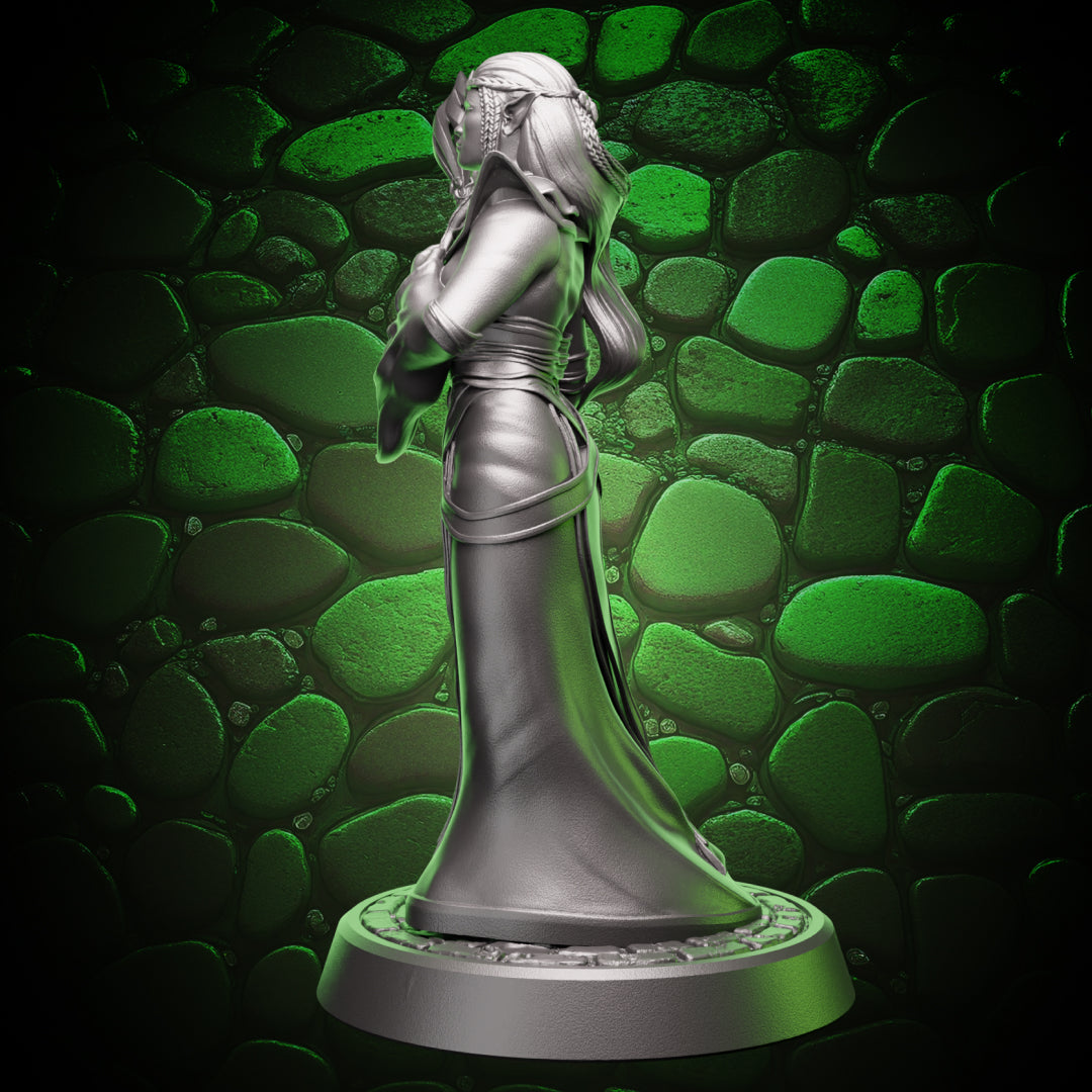 Elf Sorcerer - Staff