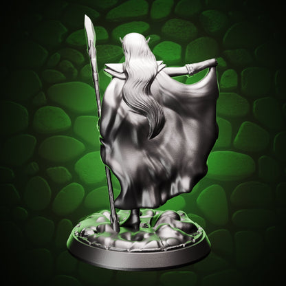 Elf Wizard - Caped Acolyte back