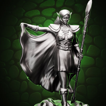 Elf Wizard - Caped Acolyte Cover