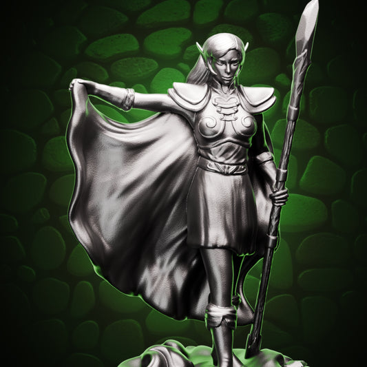 Elf Wizard - Caped Acolyte Cover