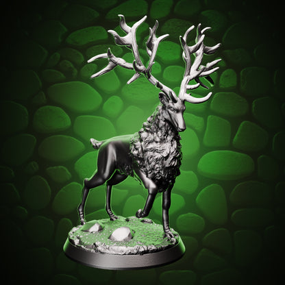 Elk front