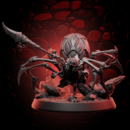 Spider Shaman | Large (2in base) | 5e