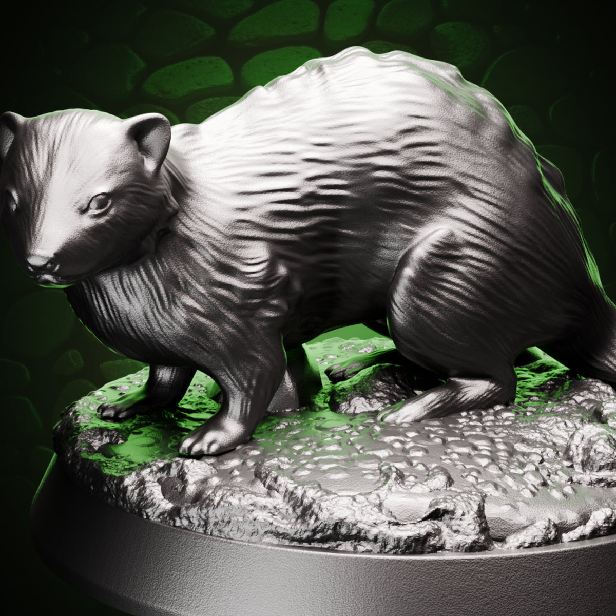 Ferret Cover
